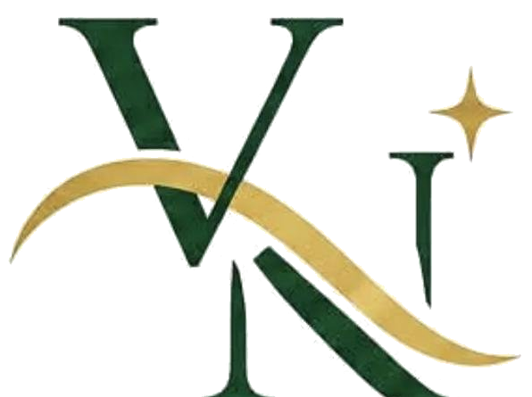 V&N Janitor Pro Services LLC